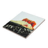 Felskachel Fliese (Seite)