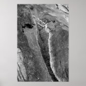 Felsküstenpool Poster (Vorne)