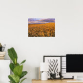 Felsvorsprung der Gerste entlang des Felsens Poster (Heimbüro)