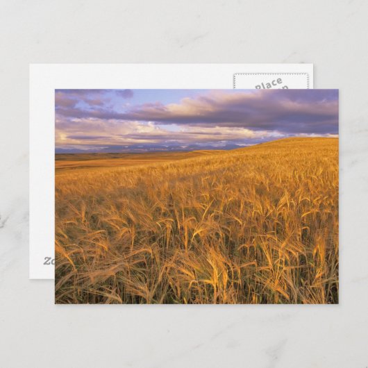 Felsvorsprung der Gerste entlang des Felsens Postkarte (Vorne/Hinten)