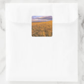 Felsvorsprung der Gerste entlang des Felsens Quadratischer Aufkleber (Tasche)