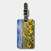 Felsvorsprung Gepäckanhänger (Vorderseite vertikal)