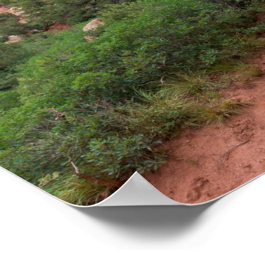 Felsvorsprung im Garten der Götter Poster (Ecke)