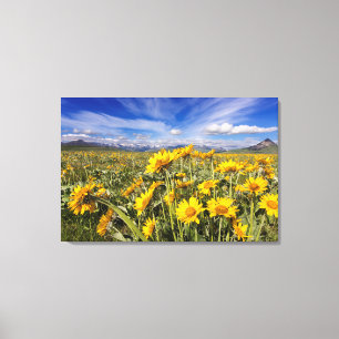 Felsvorsprung Leinwanddruck