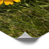 Felsvorsprung Poster (Ecke)