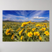 Felsvorsprung Poster (Vorne)