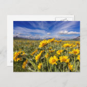 Felsvorsprung Postkarte (Vorne/Hinten)