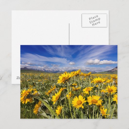 Felsvorsprung Postkarte (Vorne/Hinten)