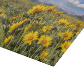 Felsvorsprung Schneidebrett (Ecke)