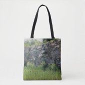 Felswand Cattails Teiche Natur Tasche (Vorderseite)