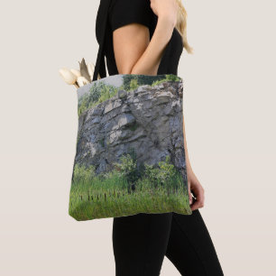 Felswand Cattails Teiche Natur Tasche