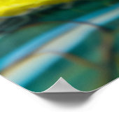 Felt grüner Frosch auf Lily Pads in Pond Poster (Ecke)