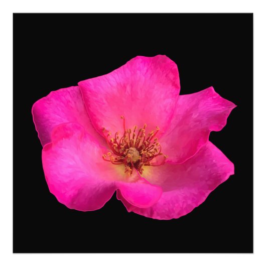 Felt Pen Rose Fotodruck (Vorne)