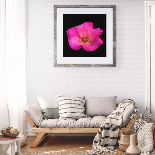 Felt Pen Rose Fotodruck