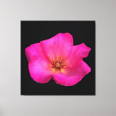 Felt Pen Rose Leinwanddruck (Vorderseite)