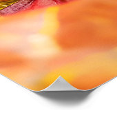 Felt Schnecke über feinen agarischen Pilz krabbeln Poster (Ecke)