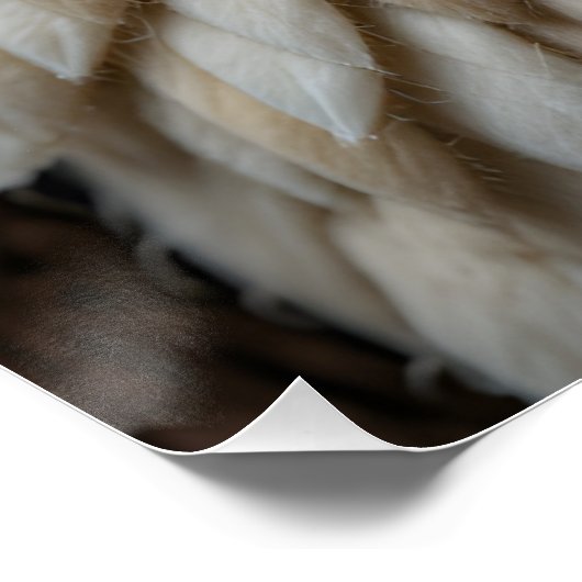 Felted Bird Portrait Poster (Ecke)