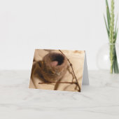 Felted Nest II Karte (Vorderseite)