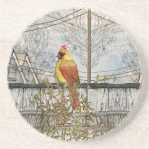 Female Cardinal in the City Sandstone Coaster Getränkeuntersetzer