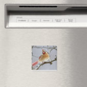 Female_Cardinal_Magnet Magnet (In Situ (Geschirrspüler))