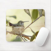 Female Hummingbird on her nest Mousepad (Mit Mouse)