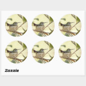 Female Hummingbird on her nest Runder Aufkleber (Blatt)