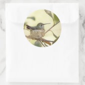 Female Hummingbird on her nest Runder Aufkleber (Tasche)