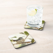 Female Hummingbird on her nest Untersetzer (Rechte Seite)