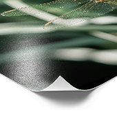 Female Keeled Skimmer Dragonfly Fotodruck (Ecke)