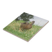 Female Mallard Entenfliese Fliese (Seite)