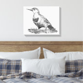 Female Northern Flicker Leinwanddruck (Insitu (Schlafzimmer))