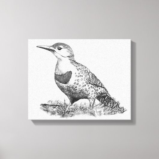 Female Northern Flicker Leinwanddruck (Vorderseite)