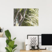 Female Northern Flicker Woodpecker Poster (Heimbüro)