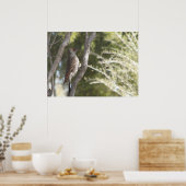 Female Northern Flicker Woodpecker Poster (Küche)