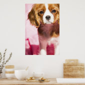 Female Puppy King Charles Spaniel Poster (Küche)