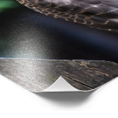 Female Sparrowhawawawawk Fotodruck (Ecke)