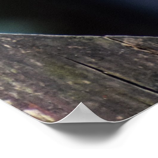 Female Sparrowhawawawawk Poster (Ecke)