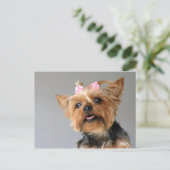 Female Yorkshire Postkarte (Stehend Vorderseite)