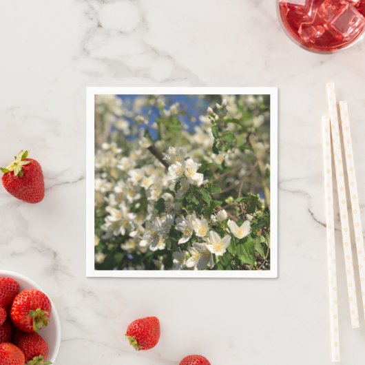 Feminin Serviette (Beispiel)