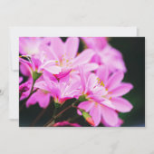 Feminine Light Pink Floral Fotografy Nature Mitteilungskarte (Vorderseite)