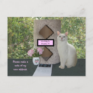 Feminine New Address Postcard Ankündigungspostkarte