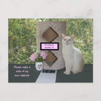 Feminine New Address Postcard Ankündigungspostkarte