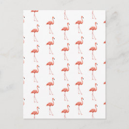 Feminine Pink Flamingo Muster Postkarte