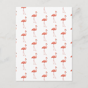 Feminine Pink Flamingo Muster Postkarte