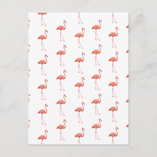 Feminine Pink Flamingo Muster Postkarte (Vorderseite)