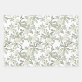 Feminine Pink Roses Aquarellfärbung Geschenkpapier Set (Vorderseite 2)