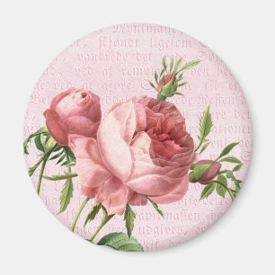 Feminines und schönes Vintage-Rosenpink Magnet