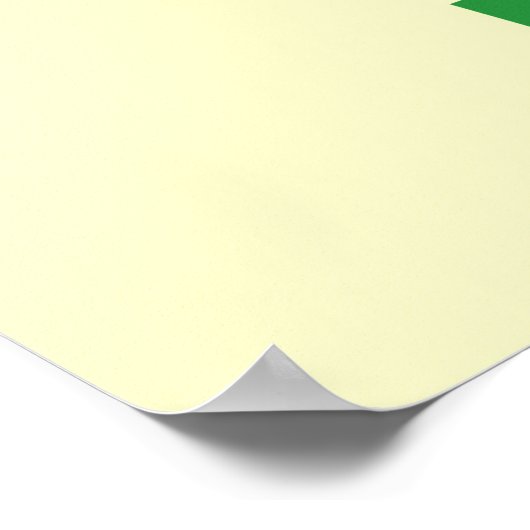 Feminist Killjoy Poster (Ecke)