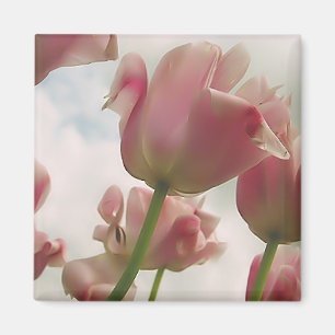 Feminitiativität Magnet