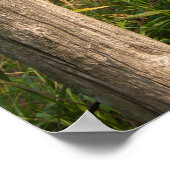 Fence Post und Hay Bales Poster (Ecke)